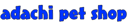 �A�_�`�y�b�g�V���b�v